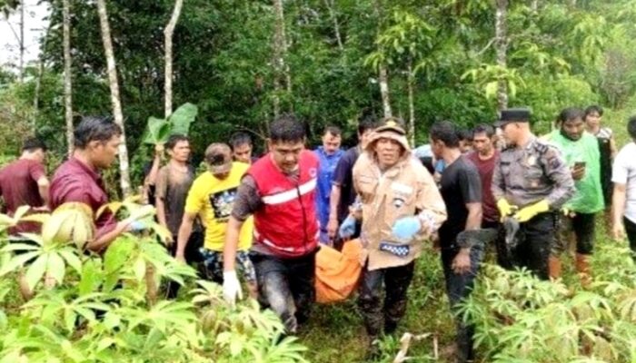 Jasad Korban Hanyut Di Padangsidimpuan Ditemukan Di Pinggir Sungai