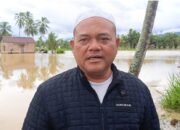 Banjir Rumbio Lumpuhkan Akses Tiga Kecamatan, Ribuan Hektare Lahan Pertanian Terendam