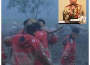 Banjir Bandang Di Humbahas, Bupati Oloan Di Jakarta