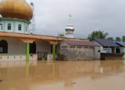 Ratusan Rumah di Desa Beringin Jaya Terendam Banjir, Aktivitas Warga Lumpuh