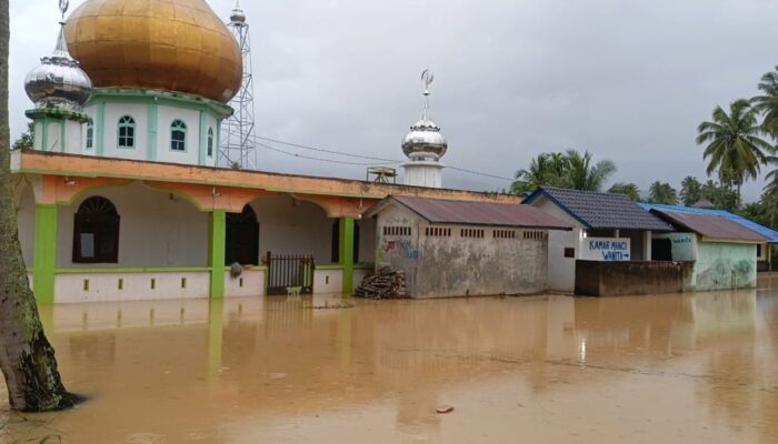 Ratusan Rumah di Desa Beringin Jaya Terendam Banjir, Aktivitas Warga Lumpuh