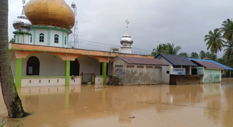 Ratusan Rumah di Desa Beringin Jaya Terendam Banjir, Aktivitas Warga Lumpuh