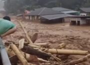 Peristiwa Longsor Harus Jadi Alarm Selektif Terbitkan Izin Hutan