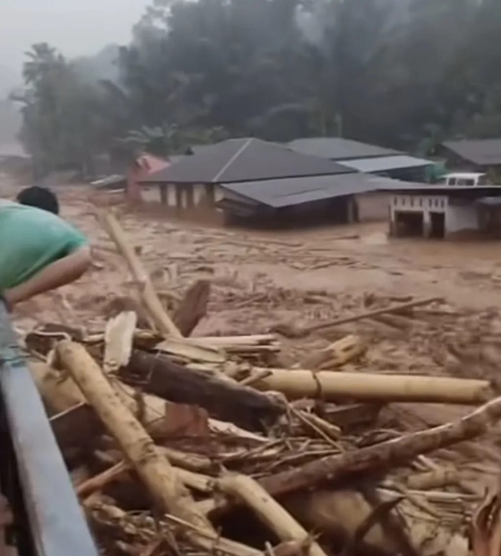 Peristiwa Longsor Harus Jadi Alarm Selektif Terbitkan Izin Hutan
