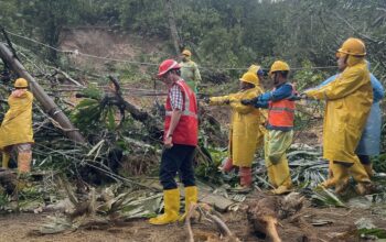 Petugas PLN UP3 Padang Sidimpuan saat melakukan penarikan manual, dikarenakan akses alat berat belum dapat dilalui, Rabu (26/11).
