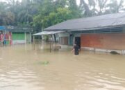 BPBD Subulussalam Data Imbas Bencana Banjir