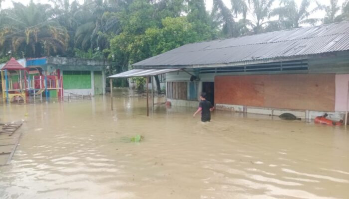 BPBD Subulussalam Data Imbas Bencana Banjir