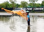 Berburu Ikan Di Genangan Banjir
