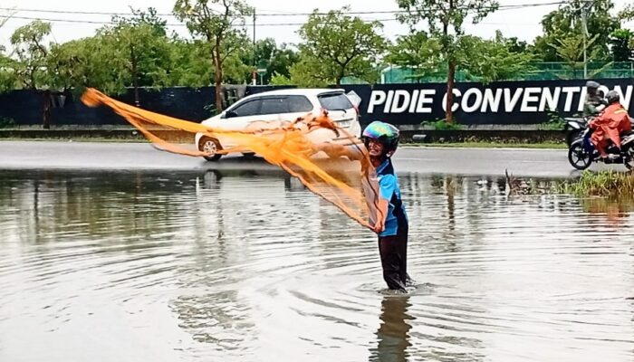 Berburu Ikan Di Genangan Banjir