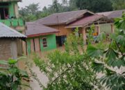 Tanggul Sei Padang Jebol, Ribuan Rumah Tergenang