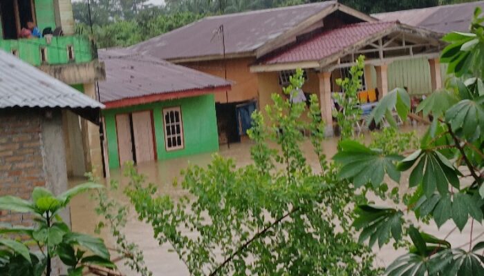 Tanggul Sei Padang Jebol, Ribuan Rumah Tergenang