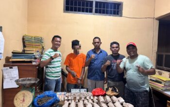 Polsek Bilah Hilir Ciduk Pengedar 1,2 Kg Ganja