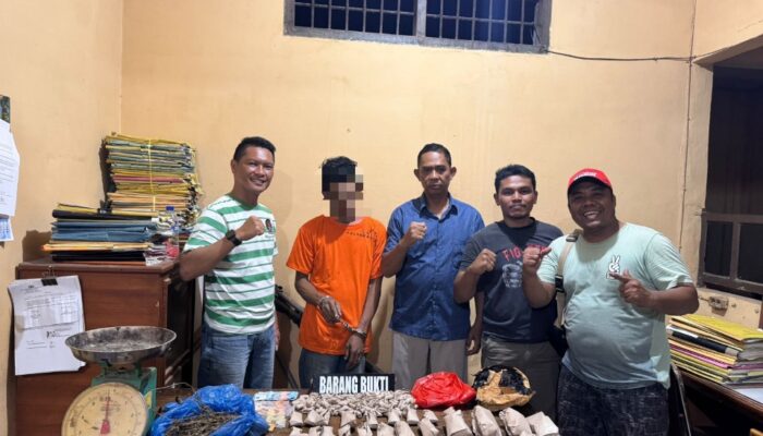 Polsek Bilah Hilir Ciduk Pengedar 1,2 Kg Ganja