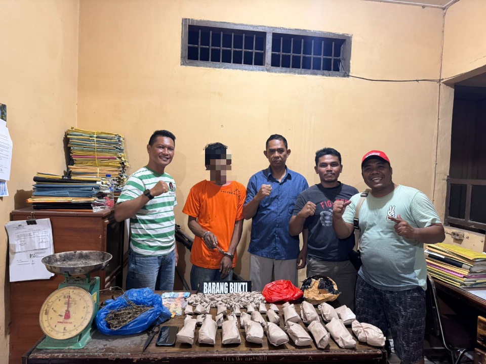 Polsek Bilah Hilir Ciduk Pengedar 1,2 Kg Ganja