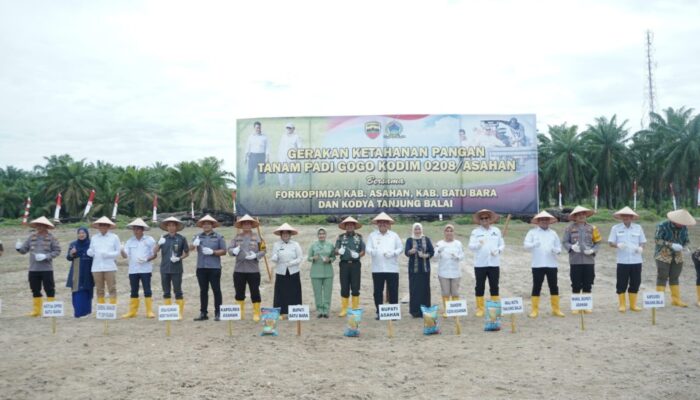 Ketahanan Pangan Nasional, Kodim 0208/Asahan Tanam Padi Gogo