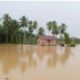 1.258 Ha Padi Dan 35,7 Tanaman Holtikultura Di Madina Terendam Banjir