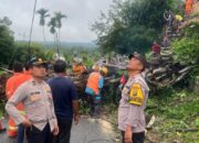 Cuaca Ekstrem, Pohon Tumbang Menutup Badan Jalan Kini Normal Kembali