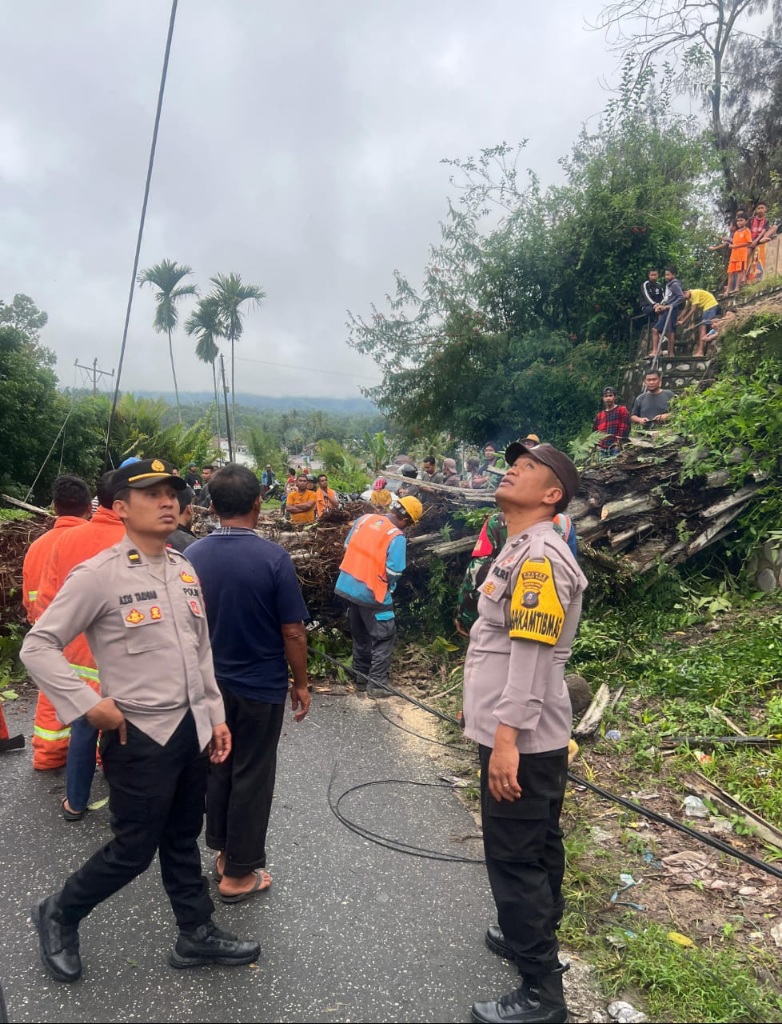 Cuaca Ekstrem, Pohon Tumbang Menutup Badan Jalan Kini Normal Kembali