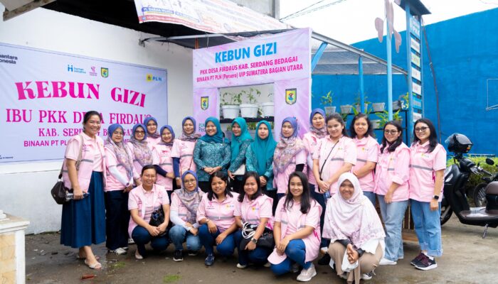 Anak Balita Dan Ibu Hamil Di Serdang Bedagai Peroleh Asupan Gizi Dari Srikandi PLN