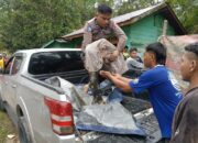 Update Jumlah Korban Bencana Taput: 11 Meninggal, 35 Hilang