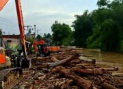 Jejak Penebangan Liar Mengintai Di Balik Banjir Bandang Kembang Tanjong