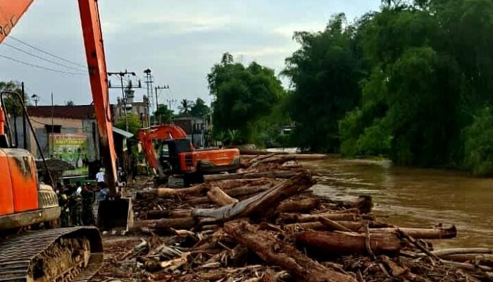 Jejak Penebangan Liar Mengintai Di Balik Banjir Bandang Kembang Tanjong