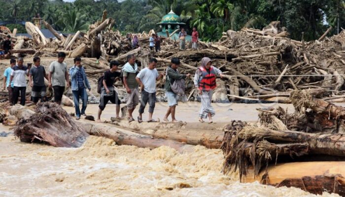 Walhi Sumut Sebut 7 Perusahaan Biang Keladi Bencana Ekologis Di Tapanuli