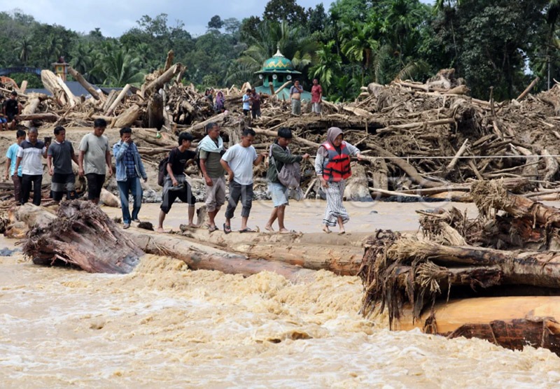 Walhi Sumut Sebut 7 Perusahaan Biang Keladi Bencana Ekologis Di Tapanuli