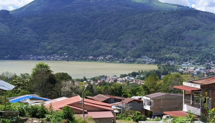Danau Toba Kembali Keruh, Ikan Mati Massal