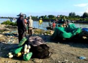 Panglima Laot Pidie Imbau Warga Pesisir Waspadai Pasang Purnama