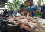 Sejumlah Komoditas Pangan Naik, Harga Daging Ayam Dekati Rp40 Ribu