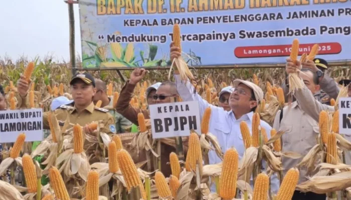 Strategi mewujudkan ketahanan pangan Indonesia