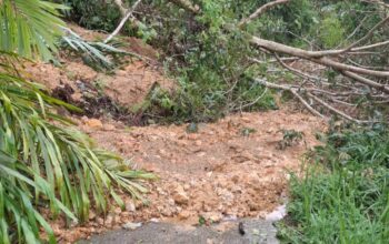 13 Titik Longsor Di Desa Batahan, Kec. Kotanopan, Madina Masih Terisolir 