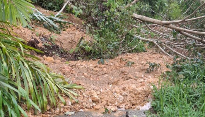 13 Titik Longsor Di Desa Batahan, Kec. Kotanopan, Madina Masih Terisolir 