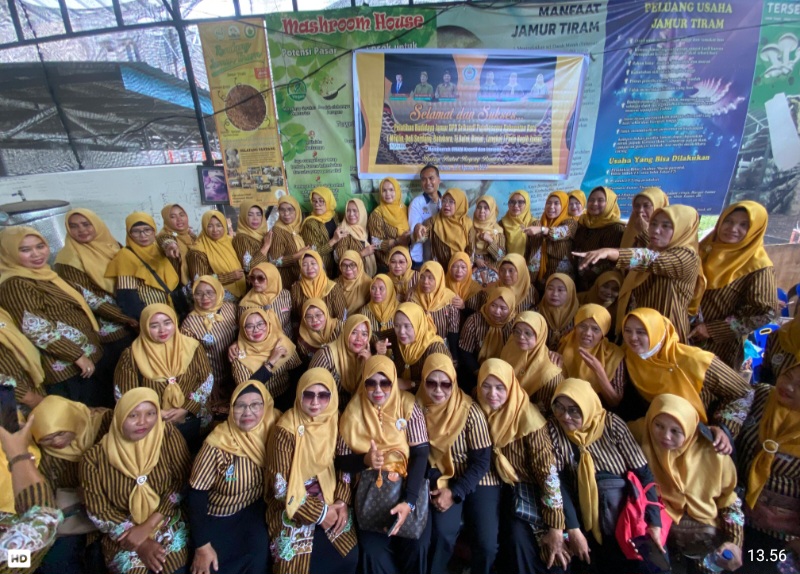 Srikandi Pujakesuma: Pelatihan Budidaya Jamur Tiram Dukung Ketahanan Pangan Di Sumut