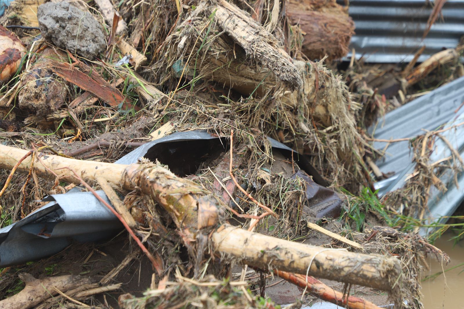 Banjir Sumut, Aceh Dan Sumbar, 164 Meninggal Dunia, 79 Hilang Dan 12 Luka