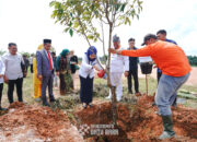 Dalam rangka memperingati Hari Jadi Kabupaten Batu Bara ke-19, PT Permodalan Nasional Madani (PNM) Cabang Pematang Siantar melaksanakan Program Tanggung Jawab Sosial dan Lingkungan (TJSL) melalui kegiatan Penanaman Pohon Produktif, sebagai bentuk nyata komitmen perusahaan dalam mendukung pelestarian lingkungan dan pemberdayaan masyarakat.