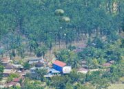 TNI AU Lepas 20 Bundle LCLA Di Atas Langit Aceh Tamiang