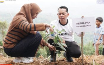 Bupati Padanglawas Tanam Perdana Kopi Sigarar Utang