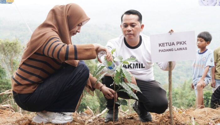 Bupati Padanglawas Tanam Perdana Kopi Sigarar Utang