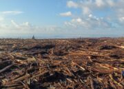 Sampah Kayu Menumpuk Di Pesisir Pantai Desa Bawozaua Nias Selatan