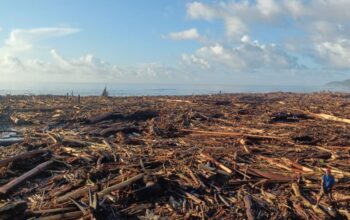 Sampah Kayu Menumpuk Di Pesisir Pantai Desa Bawozaua Nias Selatan
