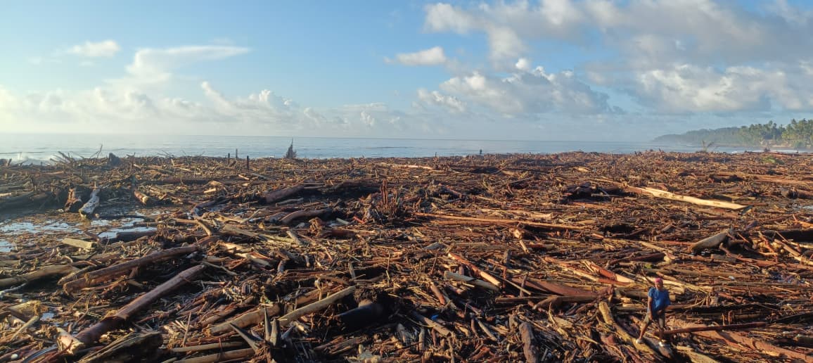 Sampah Kayu Menumpuk Di Pesisir Pantai Desa Bawozaua Nias Selatan
