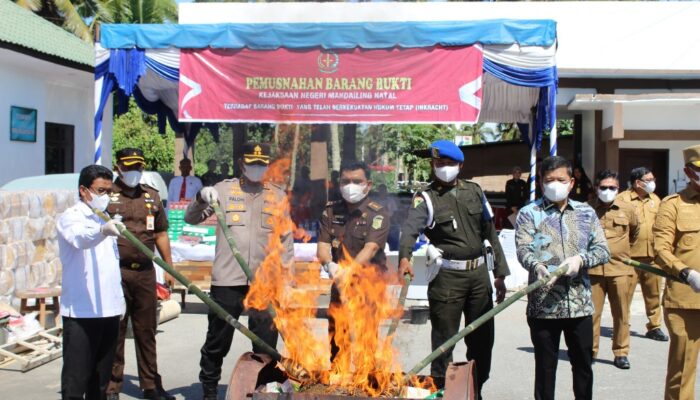 Disaksikan Forkofimda, Kajari Madina Musnahkan Barang Bukti Yang Telah Berkekuatan Hukum Tetap