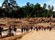 Banjir Bandang Bawa Bukti Maraknya Alih Fungsi Lahan Dan Pembalakan Liar Di Hutan Tapsel