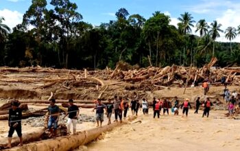 Banjir Bandang Bawa Bukti Maraknya Alih Fungsi Lahan Dan Pembalakan Liar Di Hutan Tapsel