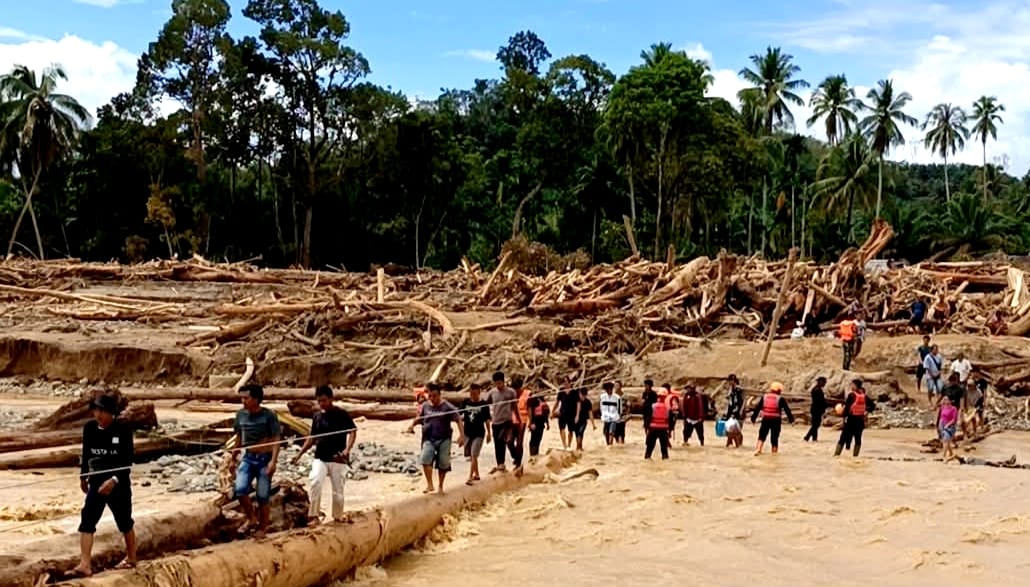 Banjir Bandang Bawa Bukti Maraknya Alih Fungsi Lahan Dan Pembalakan Liar Di Hutan Tapsel