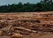 GEMPA-SU: Evaluasi Kinerja Kementerian Kehutanan Dan Cabut Izin Perusahaan Perusak Hutan