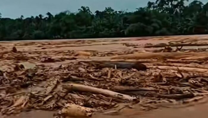 GEMPA-SU: Evaluasi Kinerja Kementerian Kehutanan Dan Cabut Izin Perusahaan Perusak Hutan