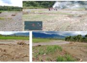 Kerugian Tanaman Pangan Sumut Akibat Banjir Tembus Rp 922 M, Padi Alami Kerusakan Terbesar